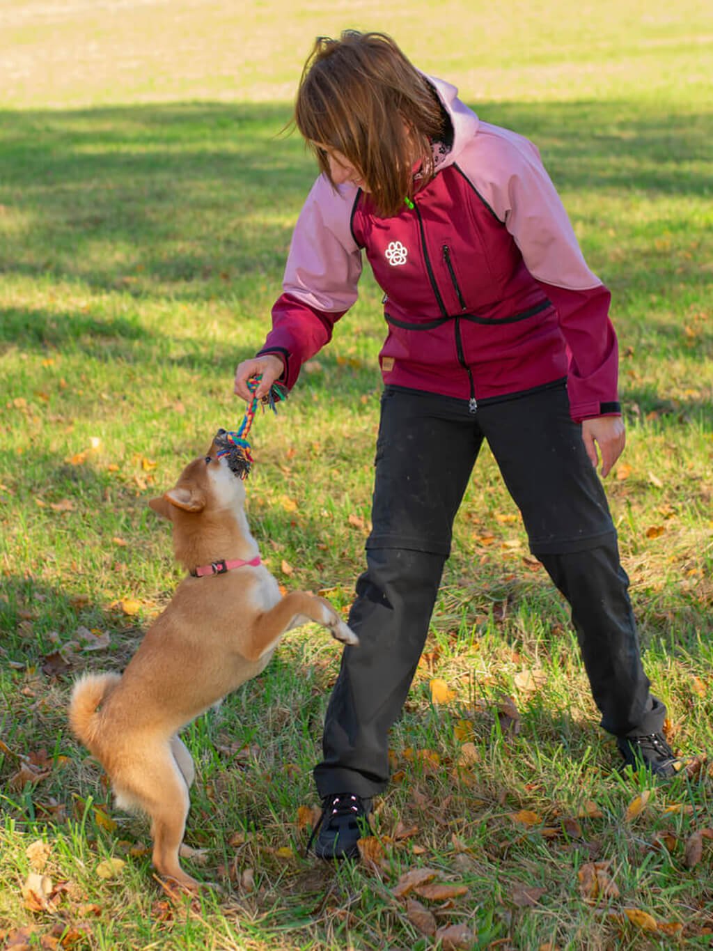 Women's training jacket 2 in 1 garnet