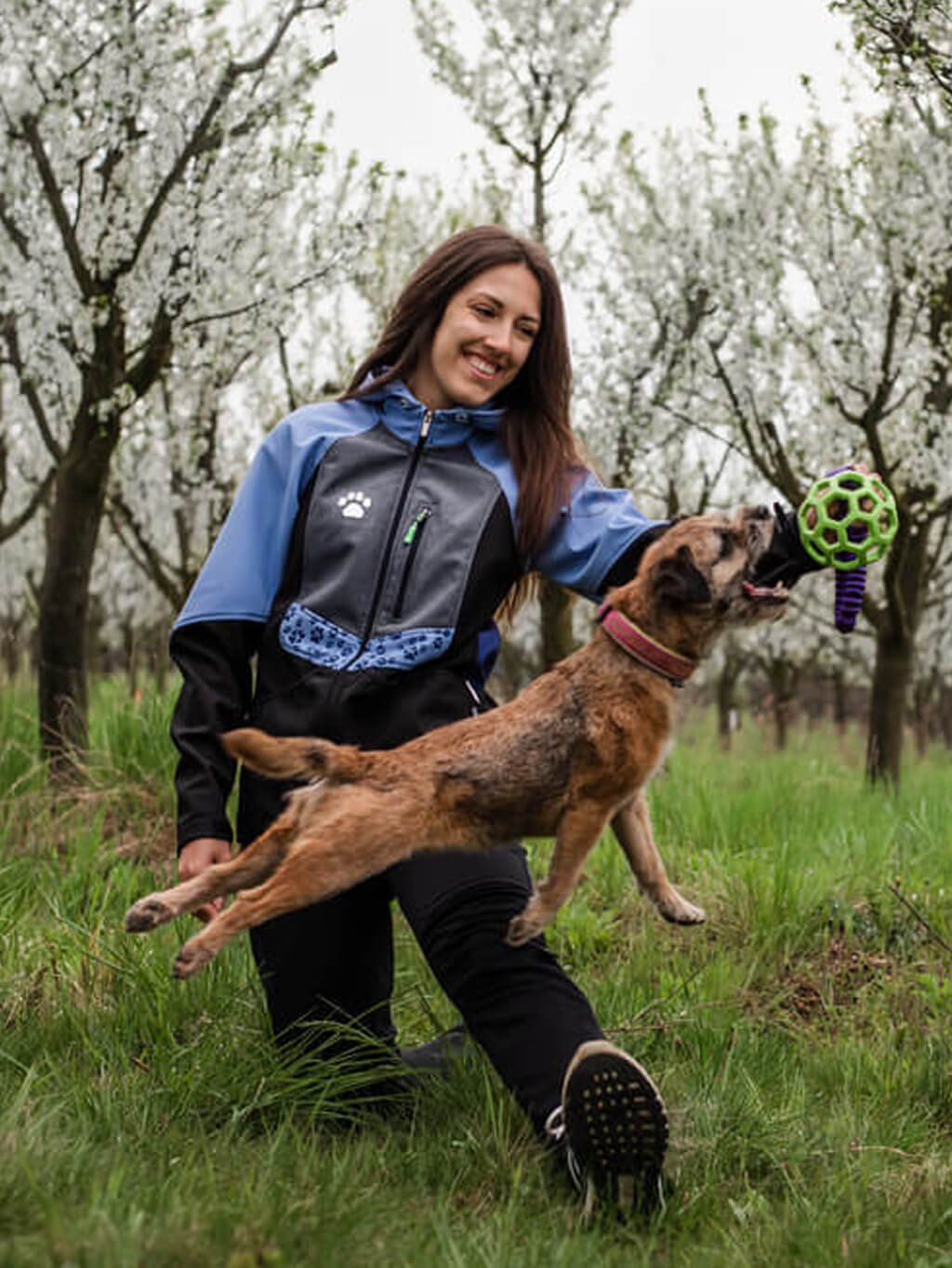 Ladies training jacket periwinkle all year 4dox