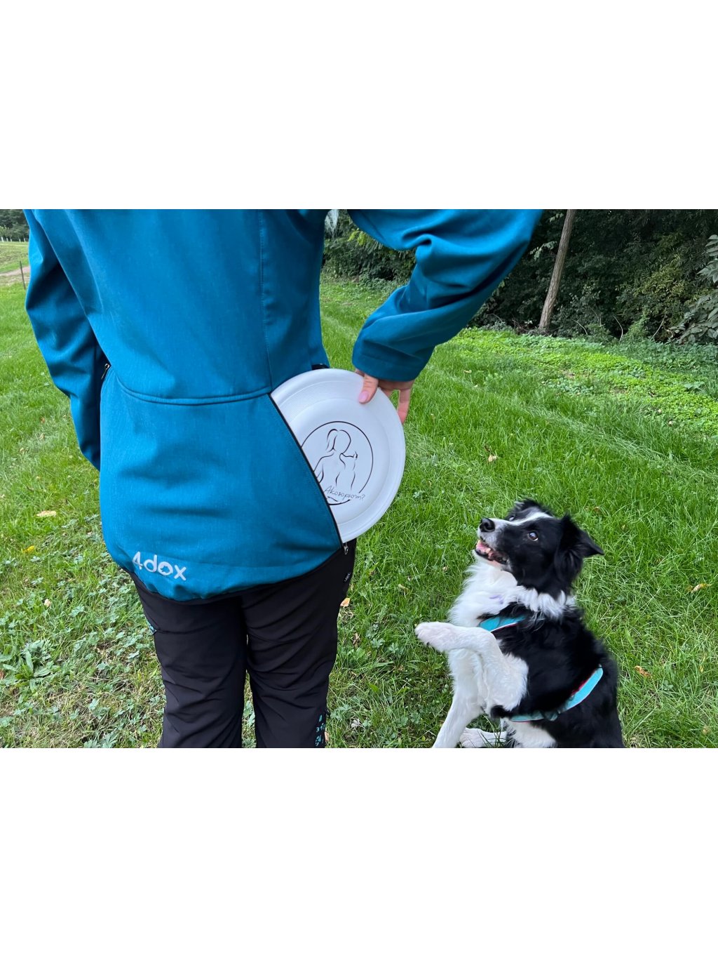 Women's training jacket teal