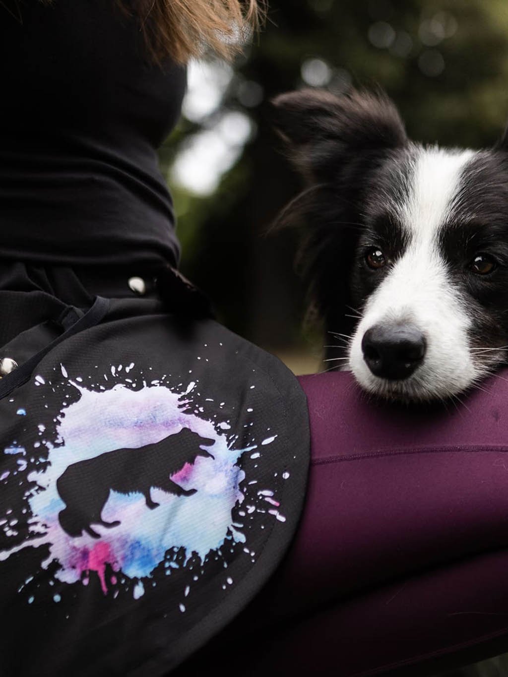 Trainingskilt - Langharige Border Collie BC2