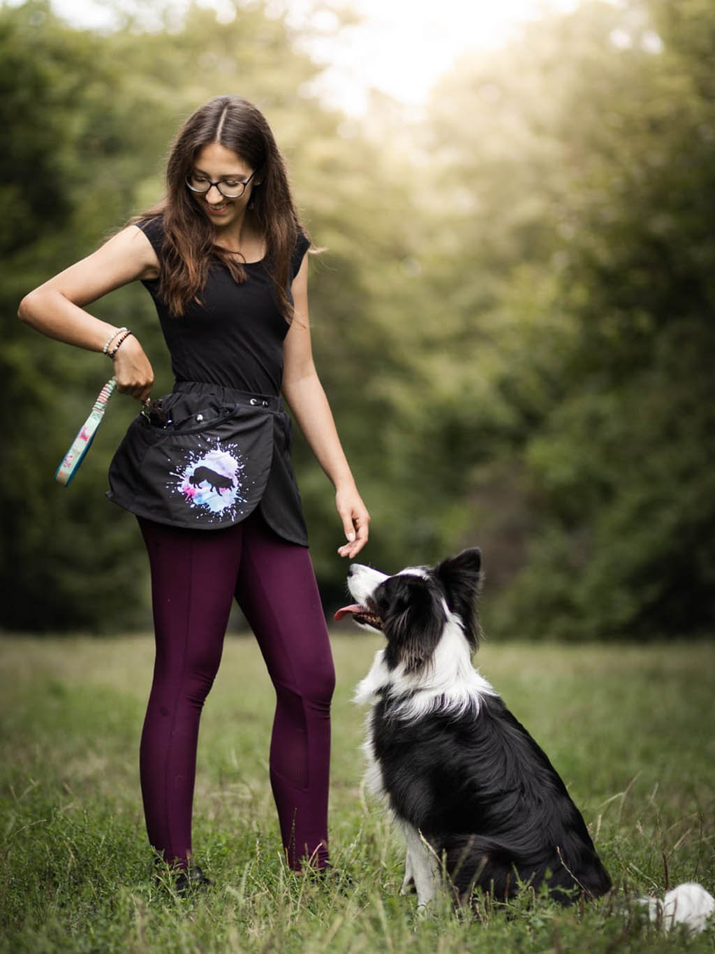 Trainingskilt - Langharige Border Collie BC2