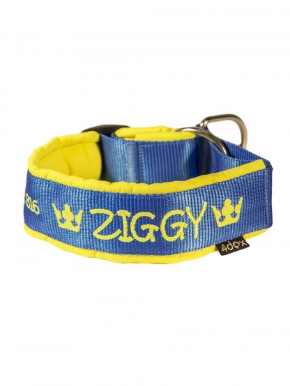 Collar with name - Semi-retractable - customized collar