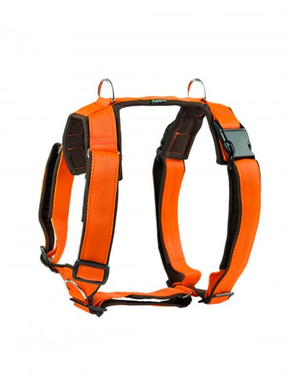 Harness comfort plus - orange