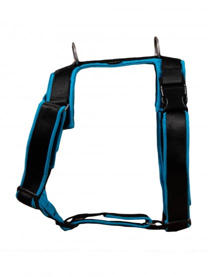 Harness Comfort plus - aqua 2