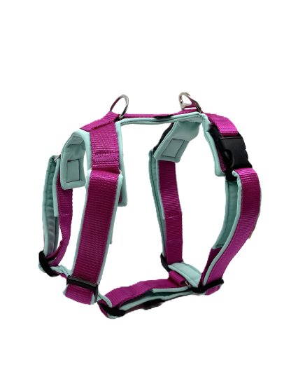 Comfort plus harness - fuchsia 4dox