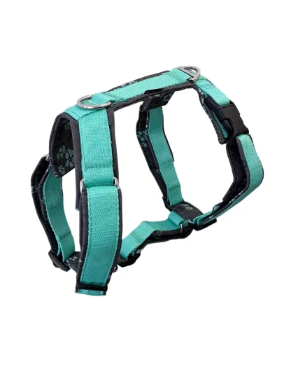 Comfort plus harnas - mint met pootjes 4dox