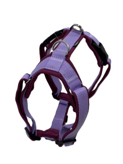 Comfort plus harness - lilac 4dox 2