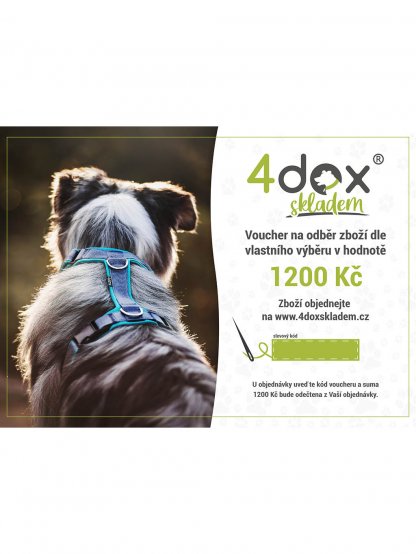 voucher 4dox for purchase worth 1200 CZK