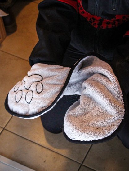 Towel for dog paws