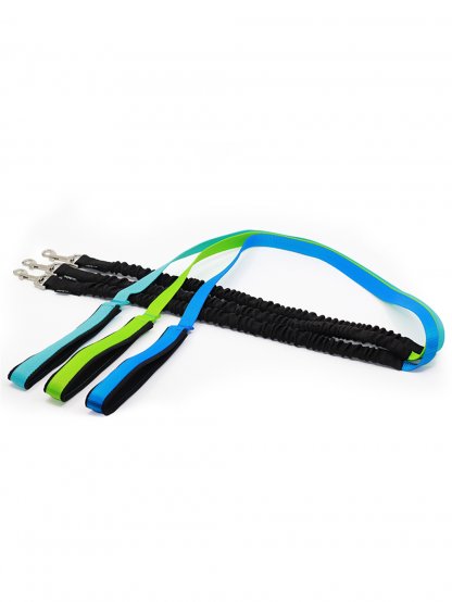 Guide with shock absorber - customized leash