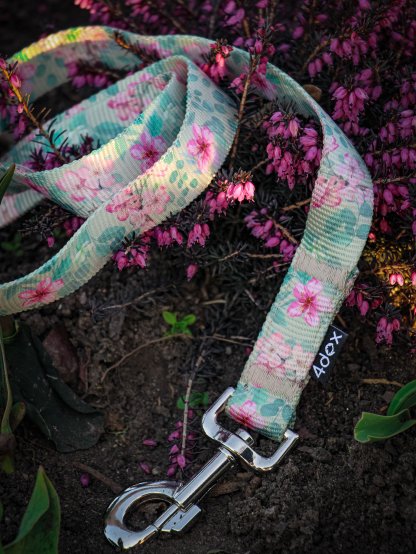 Leash SAKURA 4dox