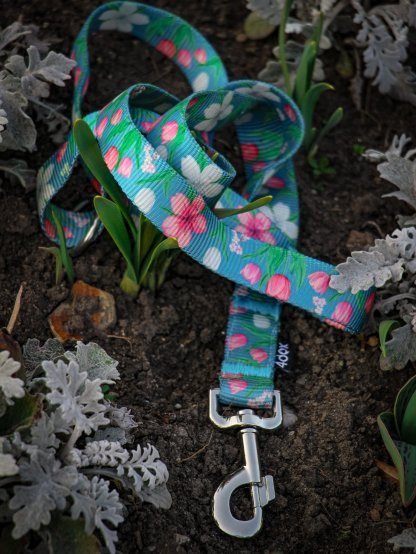 leash TULIP 4dox