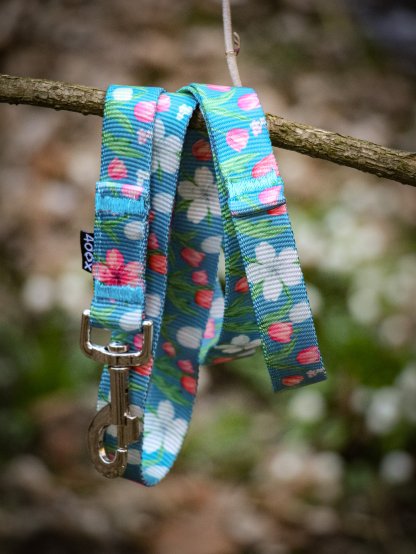 leash TULIP 4dox 2