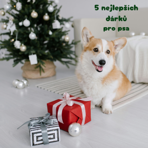 Tipy na vánoční dárky pro psa