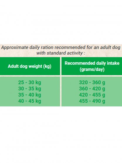 BON APPÉTIT DOG ADULT MAXI 2x 12 kg - cenově výhodné dvojbalení krmiva pro dospělé psy velkých  a obřích plemen (nad 30 kg)