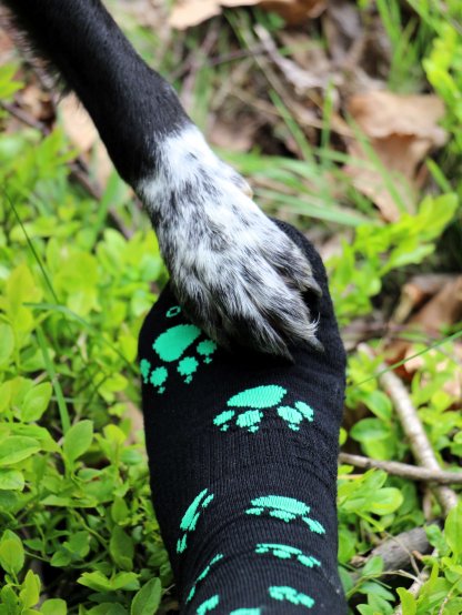 Merino ponožky 4dox - zelené 2