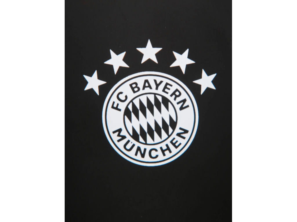 Hliníková fľaša na pitie s logom 5 hviezdičiek FC Bayern München, čierny, 0,6l