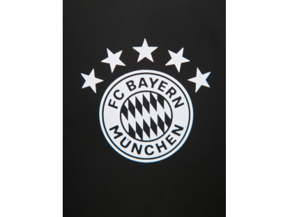 Hliníková fľaša na pitie s logom 5 hviezdičiek FC Bayern München, čierny, 0,6l