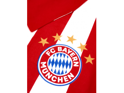 Ágyneműhuzat garnitúra STRIPE, FC Bayern München flanel 2