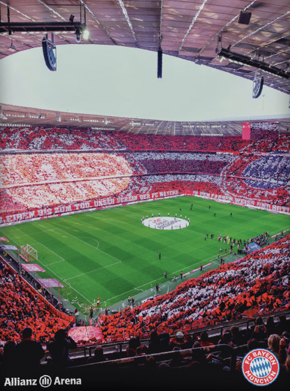 Ložní povlečení FC Bayern München, Allianz Arena 2