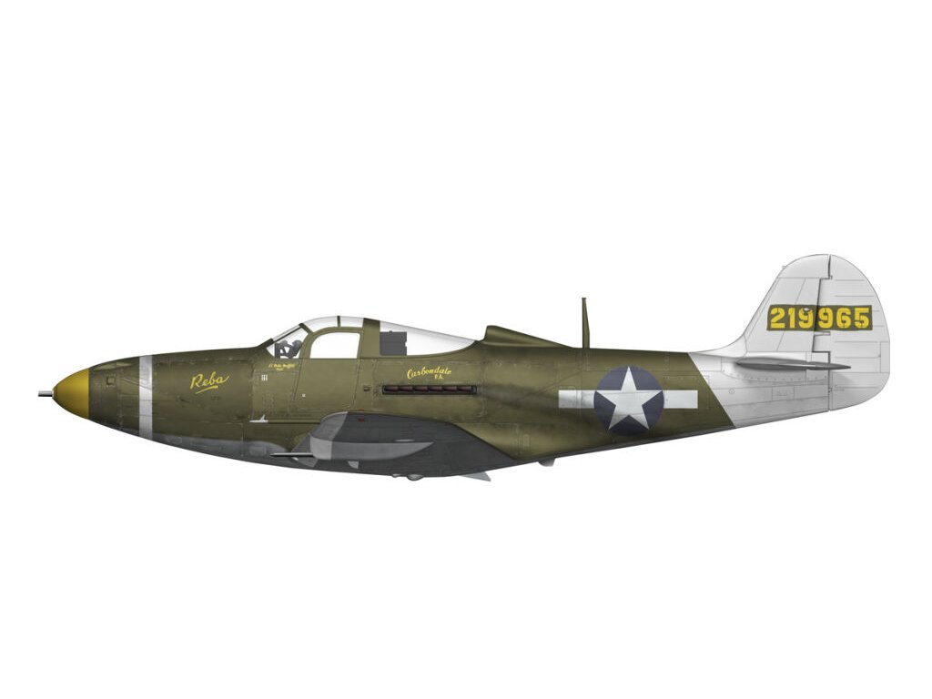 ARFMA 1/48  P-39 Airacobra RECON