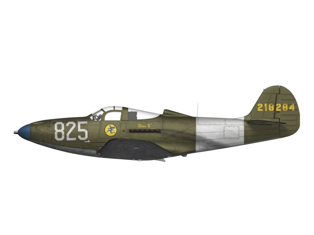 ARFMA 1/48  P-39 Airacobra RECON