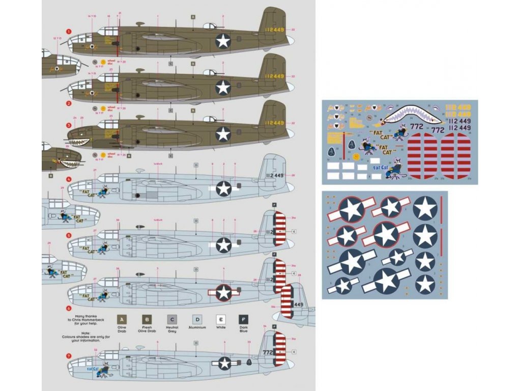 DK DECALS 1/72 B-25C Fat Cat as time went on...