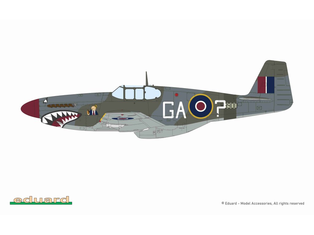 ED PROFIPACK 1/48 Mustang Mk.III