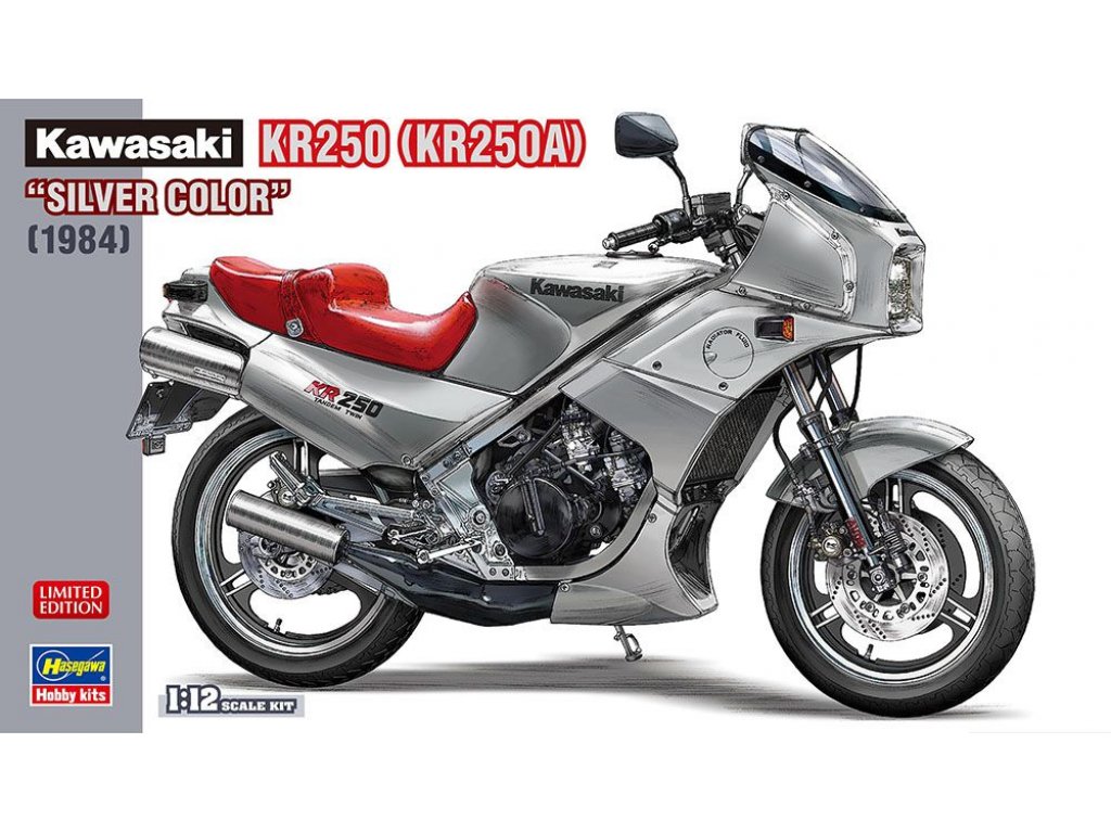 HASEGAWA 1/12 Kawasaki KR250A "Silver Color"