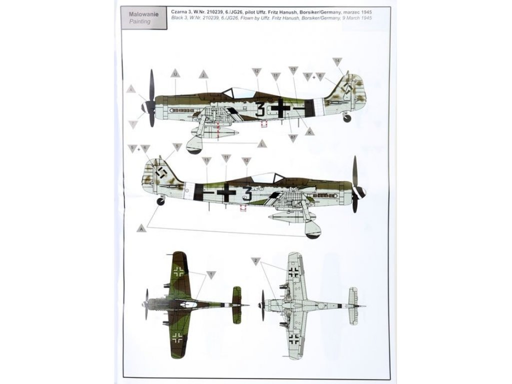 IBG 1/72 Focke-Wulf FW 190D-9 Cottbus (Early Production)