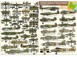 DP CASPER 1/72 Forgotten Operation - Victory in Abyssinia 1940-41 Decals