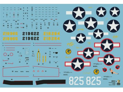 ARFMA 1/48  P-39 Airacobra RECON