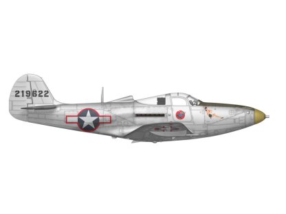 ARFMA 1/48  P-39 Airacobra RECON