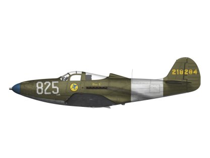 ARFMA 1/48  P-39 Airacobra RECON