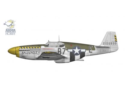 ARMA 70069 1/72 P-51B Mustang Deluxe Set