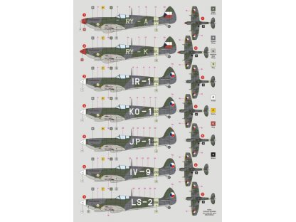 DK DECALS 1/32 Spitfire LF Mk.IXE 313th Squadron (7x camo)