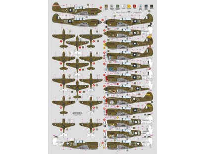 DK DECALS 1/48 P-40N Kittyhawk in RAAF o. N.Guinea&Australia