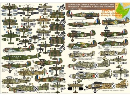 DP CASPER 1/72 Forgotten Operation - Victory in Abyssinia 1940-41 Decals