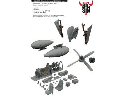 ED BIGSIN 1/48 P-51B Mustang Malcolm Hood canopy ESSENTIAL