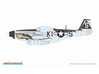 ED PROFIPACK 1/72 P-51D-5 Mustang 