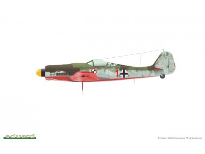 ED WEEKEND 1/48 Fw 190D-9