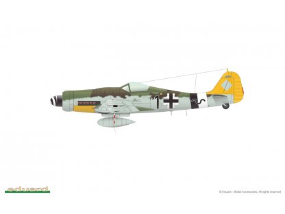 ED WEEKEND 1/48 Fw 190D-9