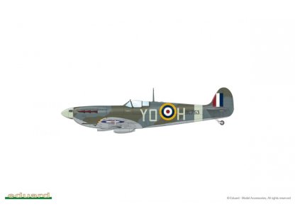 EDUARD LIMITED 1/48 EAGLEs CALL  Spitfire Dual Combo