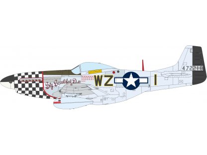 EDUARD LIMITED 1/72 ACES OF THE EIGHTH DUAL COMBO P-51D Mustang