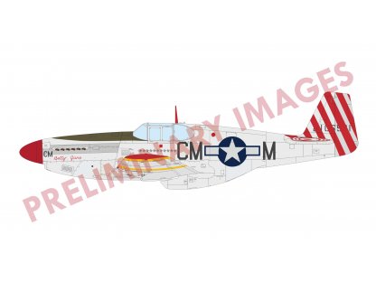 EDUARD PROFIPACK 1/48 P-51B/C Mustang