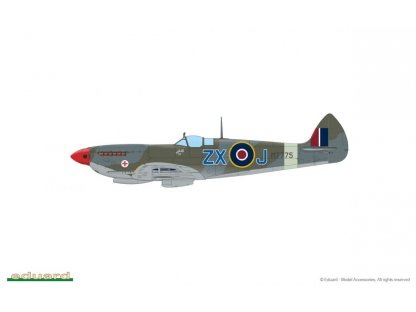 EDUARD WEEKEND 1/48 Spitfire Mk.VIII