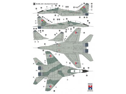 H2000 1/48 MiG-29UB Czech and Slovak Air Force