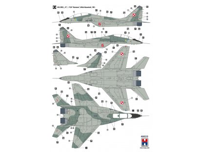 H2000 1/48 MiG-29UB Fulcrum Polish Air Force