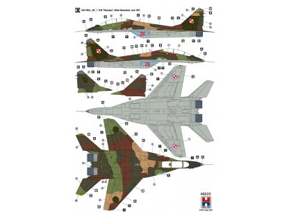 H2000 1/48 MiG-29UB Fulcrum Polish Air Force