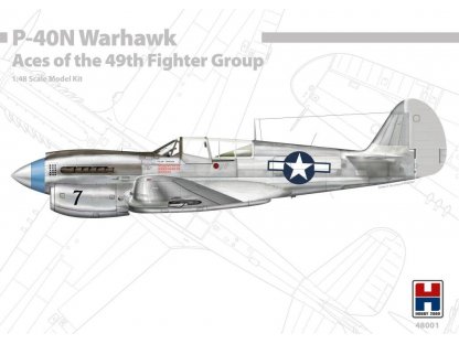 H2000 1/48 P-40N Warhawk Acesod the 49th Fighter Group
